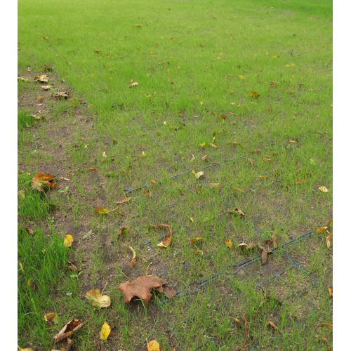 Kratka trawnikowa IG 40 zielona