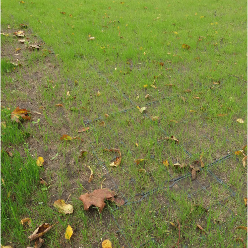 Kratka trawnikowa IG 40 zielona